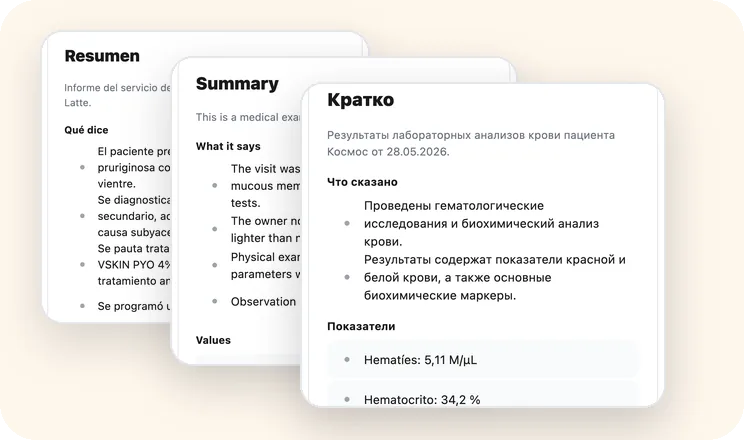 Breves resúmenes de un documento en español, inglés y ruso